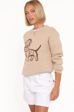 Amber Dachshund Sweater