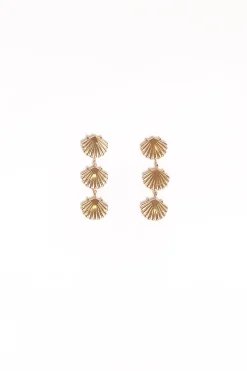Coral Earrings