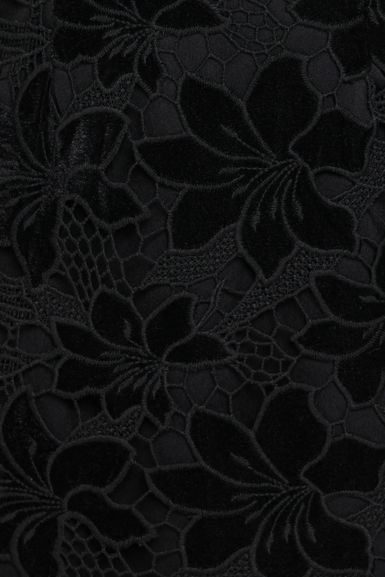 Cynthia Velvet Lace Mini Dress