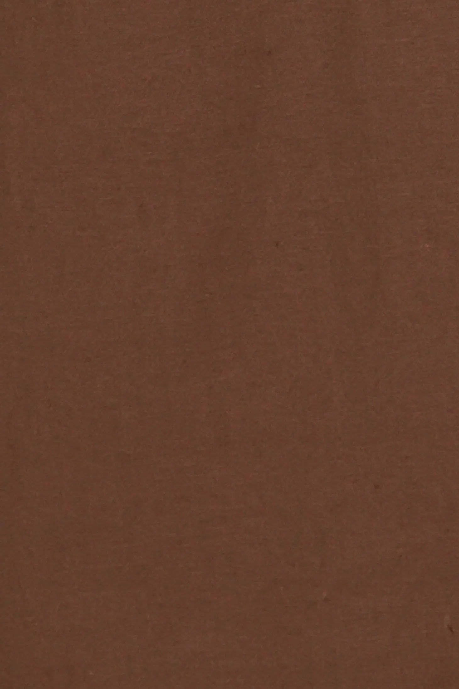 Ember Cotton Pants