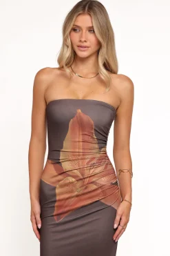 Ginny Strapless Maxi Dress