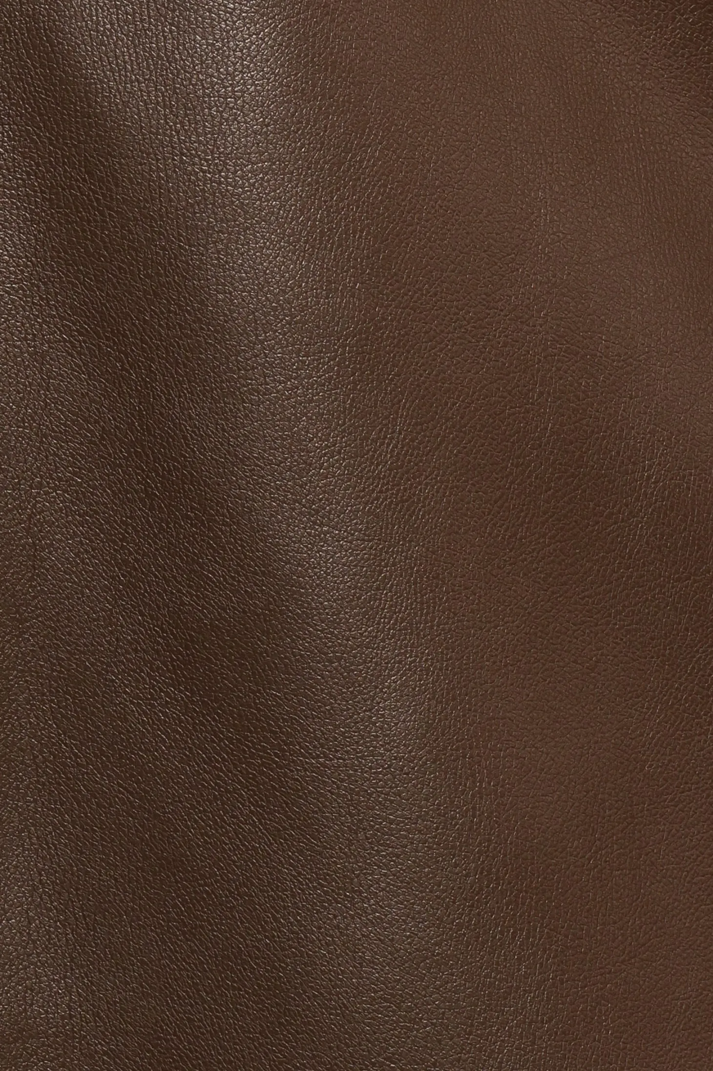 Haelee Faux Leather Skirt