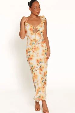 Jean Maxi Dress