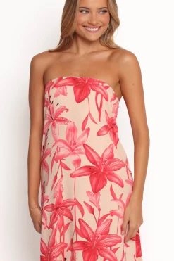 Lani A Line Strapless Maxi Dress
