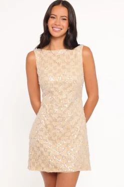 Pasha Mini Dress