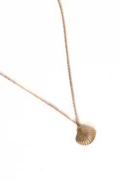 Shell Necklace