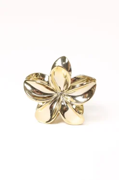 Tiarne Hair Clip