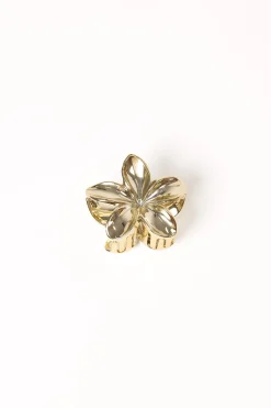 Tiarne Hair Clip